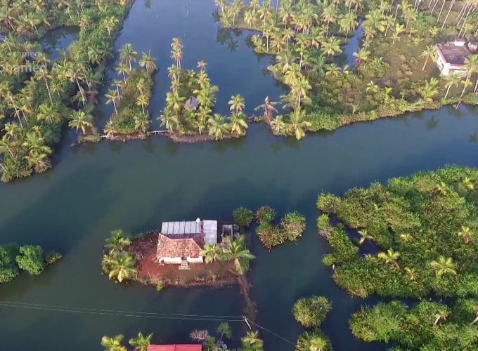 Munroe Island Backwaters Canoe Tours