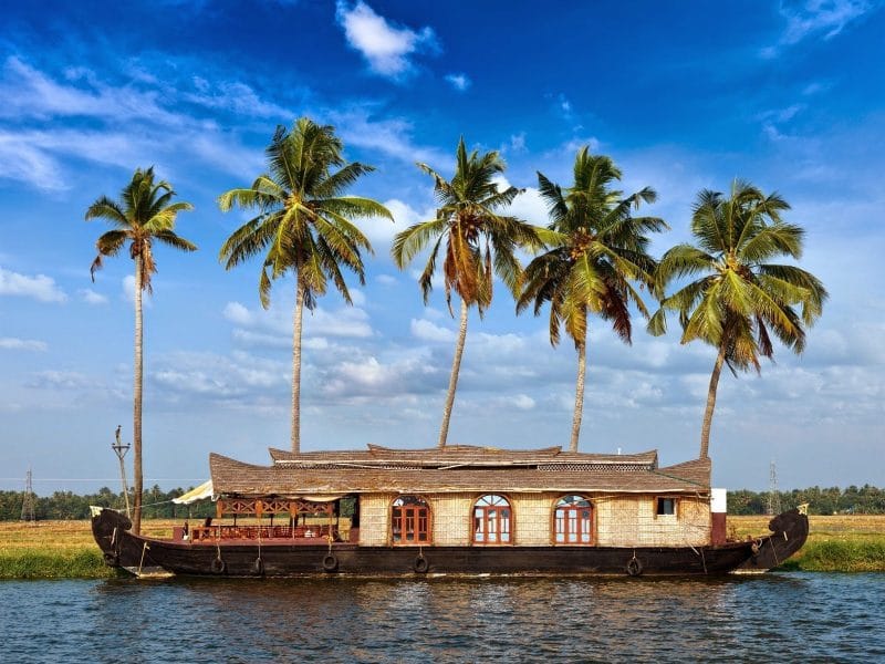 Group Tour: Alleppey Backwater Houseboat Day Cruise including Lunch