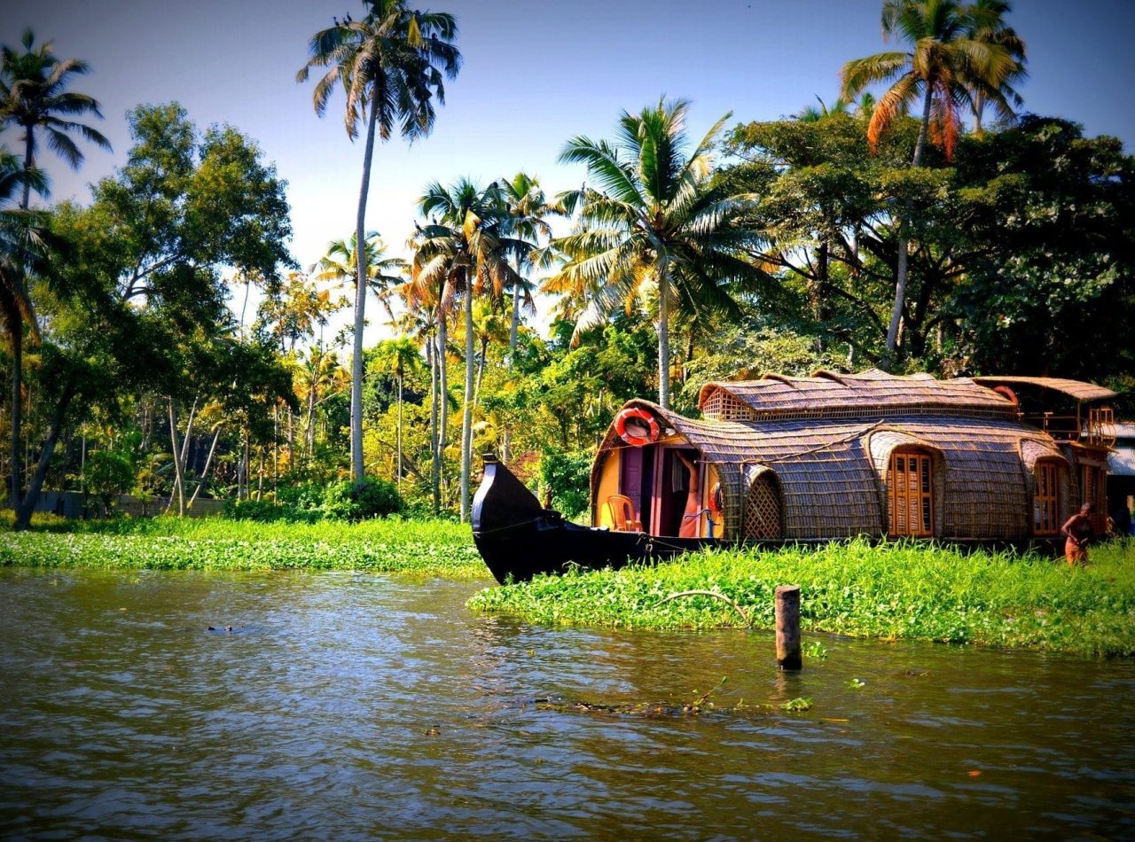 6-hour Private houseboat cruise Alleppey with Kerala lunch during day