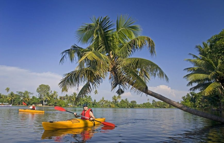 Beautiful Alleppey Sunriser Kayaking Tour