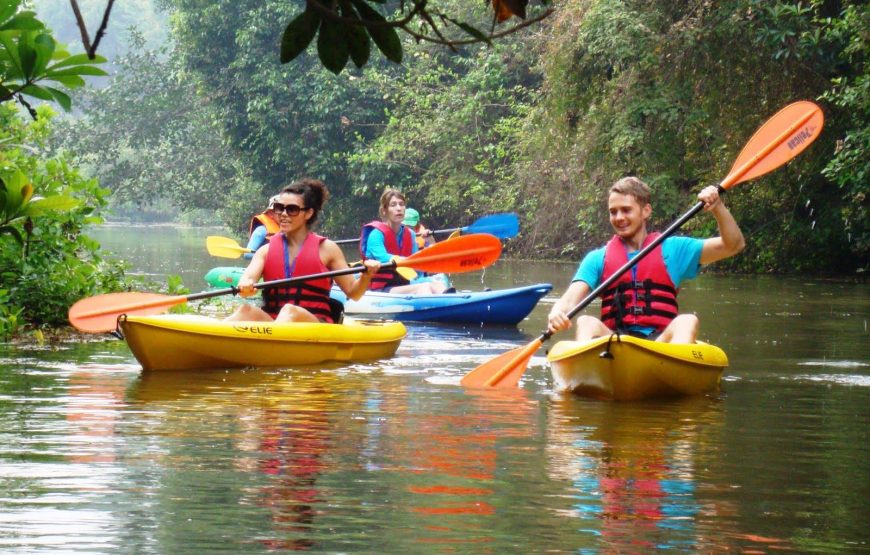 Beautiful Alleppey Sunriser Kayaking Tour