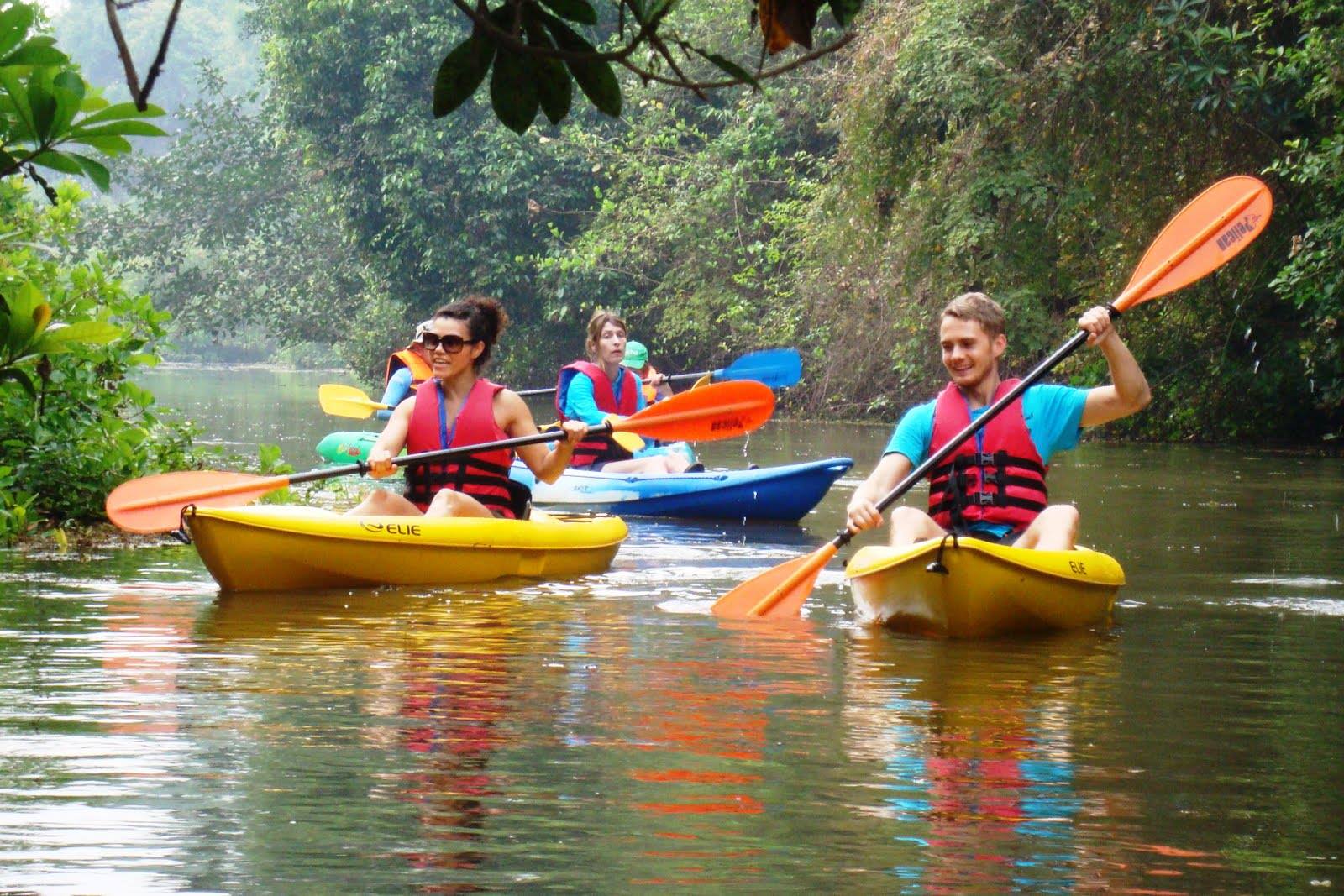 kayak tour experiences