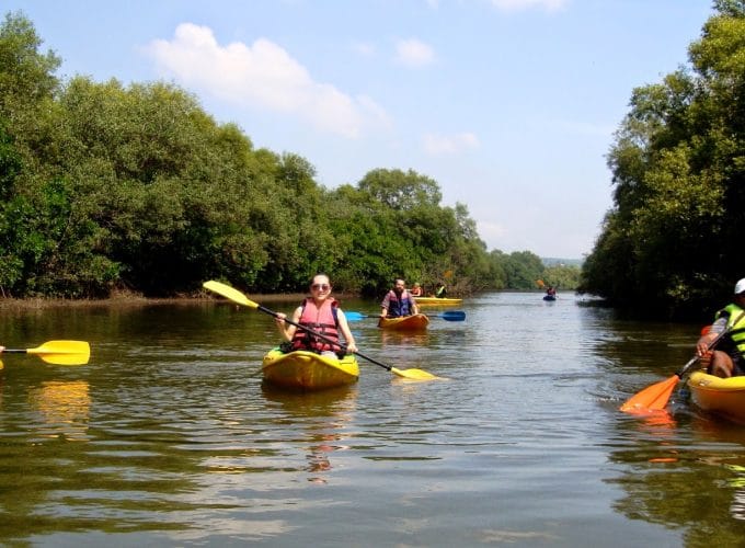 Beautiful Alleppey Sunriser Kayaking Tour