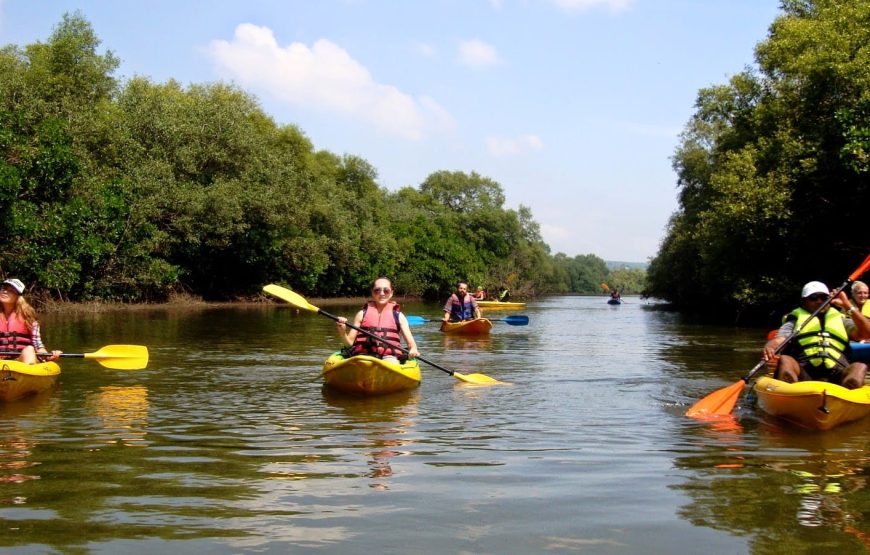 Beautiful Alleppey Sunriser Kayaking Tour