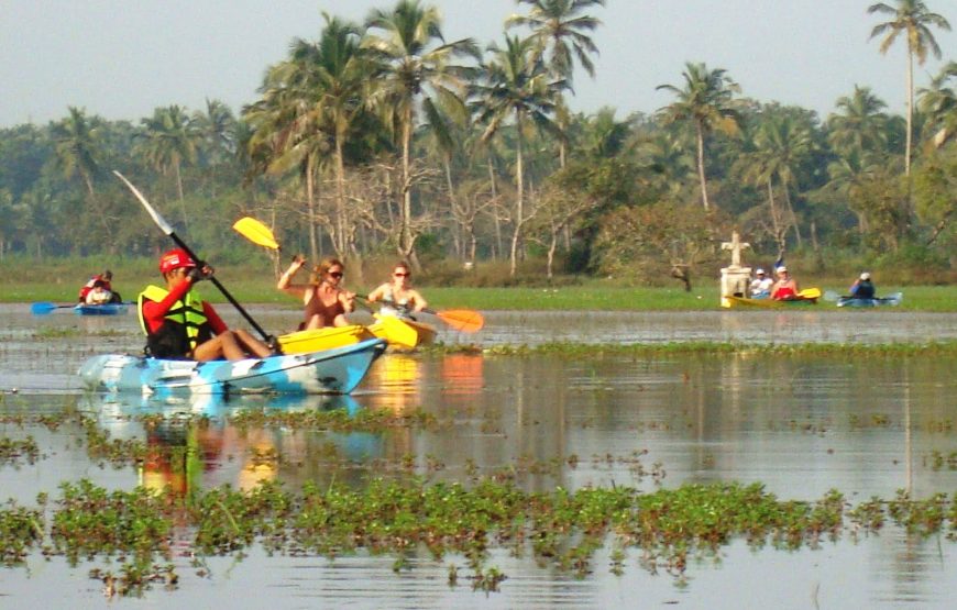 Beautiful Alleppey Sunriser Kayaking Tour