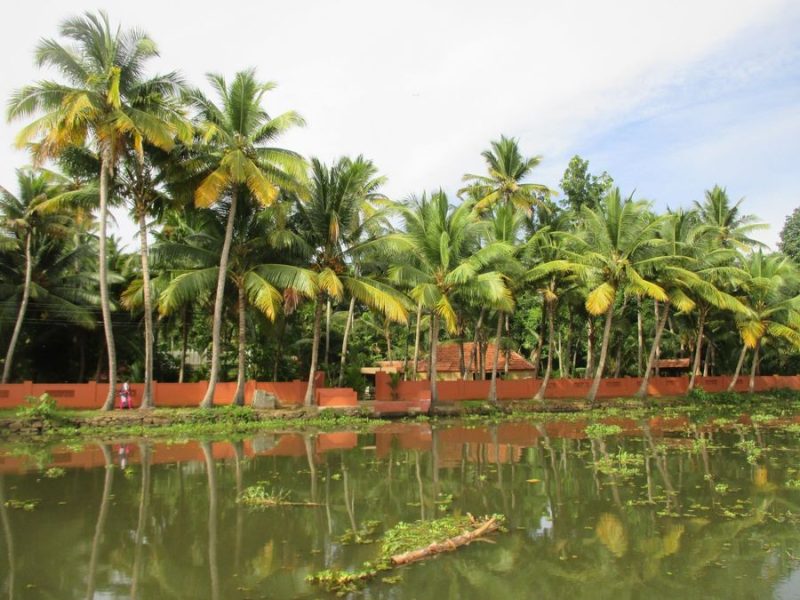alleppey canals (3)