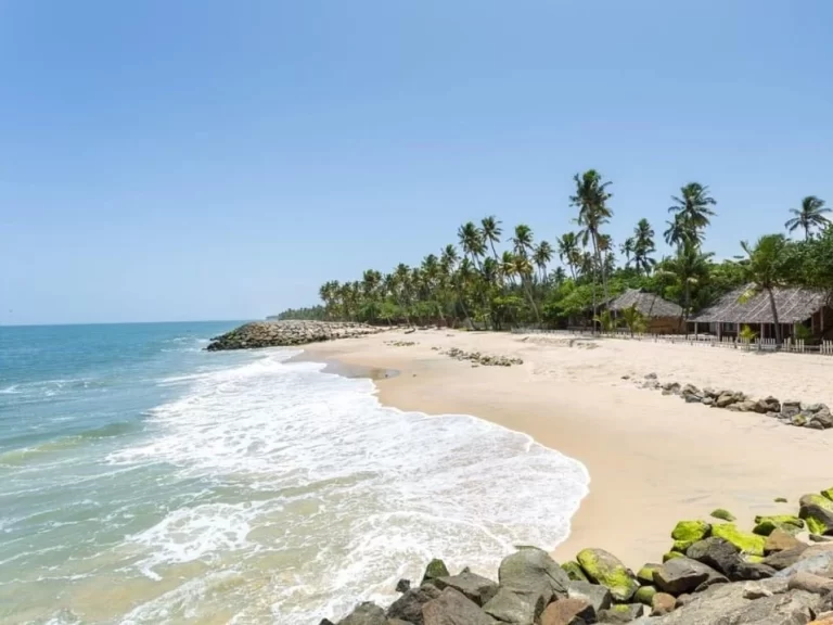 The famous Marari beach in Alleppey,Kerala.