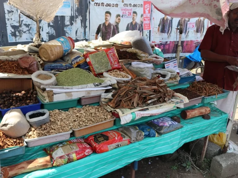 Mullakkal Market/Street, Alappuzha