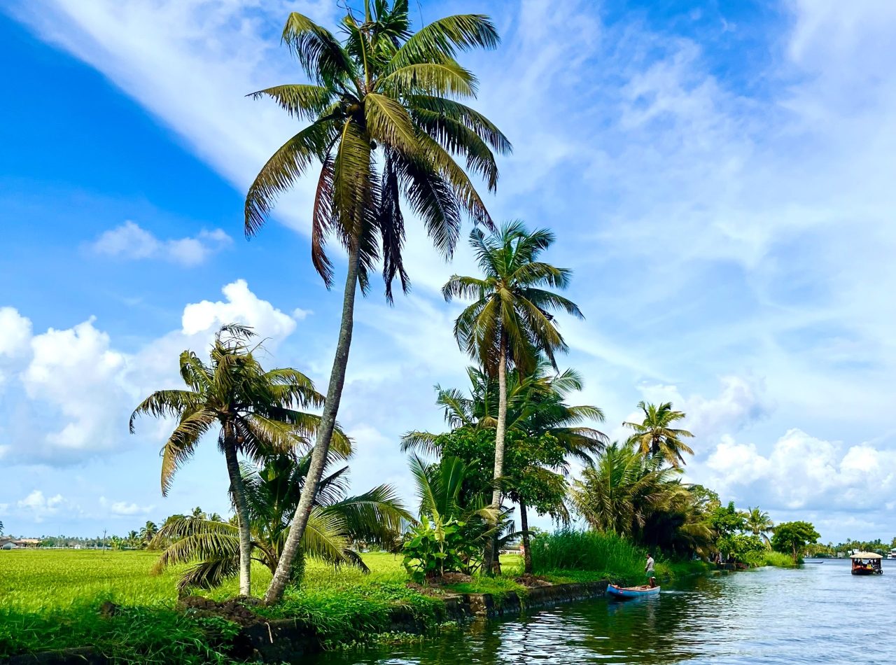 sarthak-veggalam-YwiMfbiKFmY-unsplash