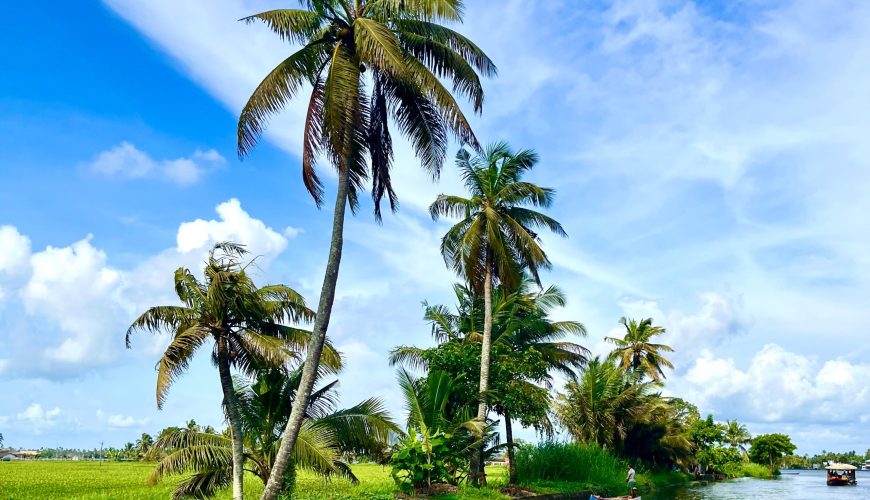 Things to do in Alleppey