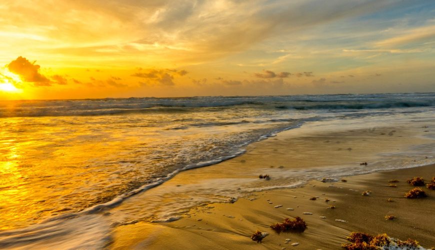 Alleppey Beaches