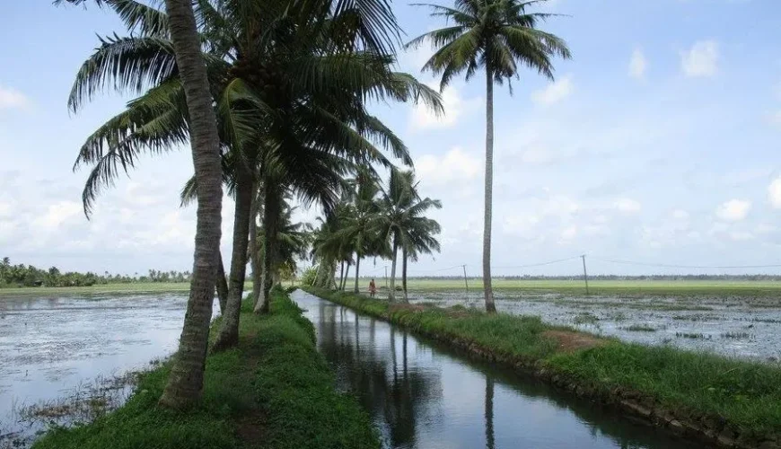 Rani, Chittira and Marthandom Kayals in Alleppey backwaters - Sanchari Travels & Activities