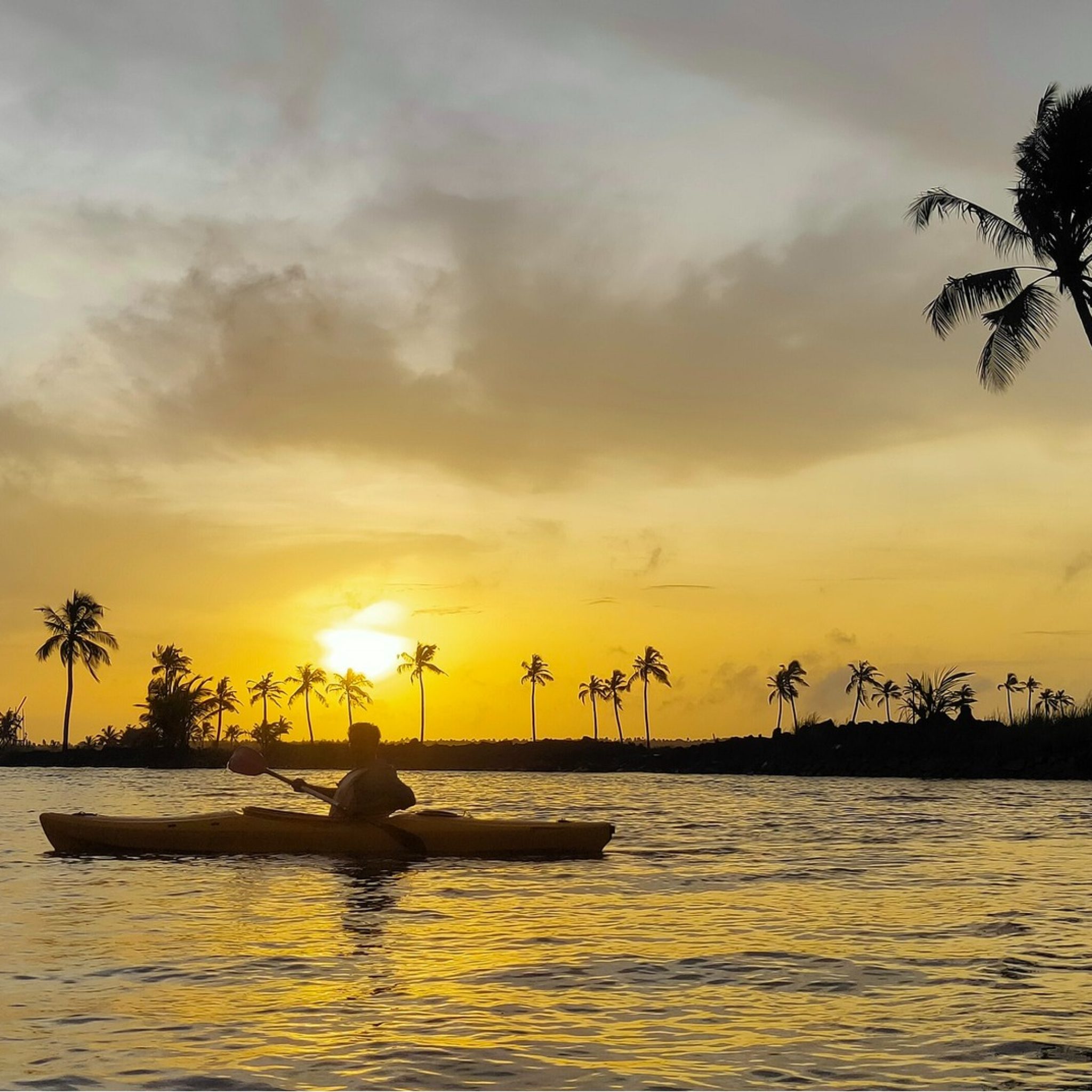 Backwaters, Kerala. The best things to do in Kerala Backwaters Sanchari ...