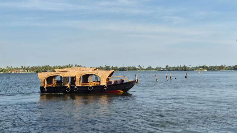 Bamboo cane shikara near a coconut palm shoreline on the Alleppey backwaters